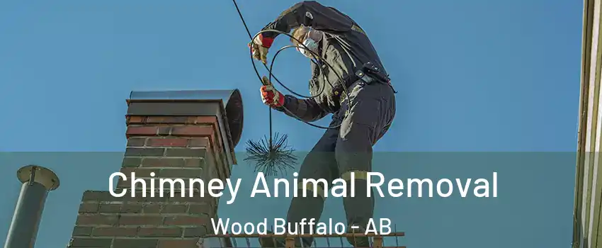 Chimney Animal Removal Wood Buffalo - AB