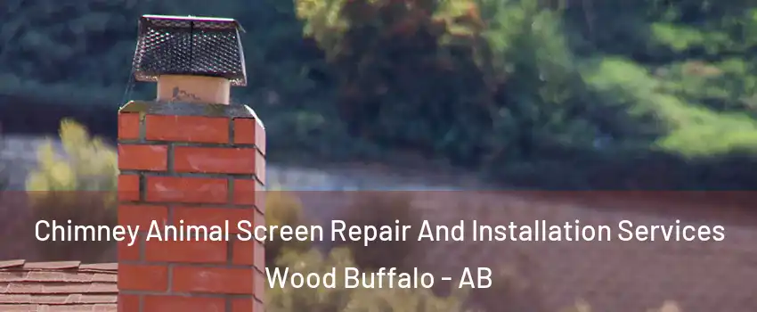 Chimney Animal Screen Repair And Installation Services Wood Buffalo - AB