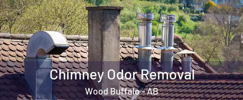 Chimney Odor Removal Wood Buffalo - AB