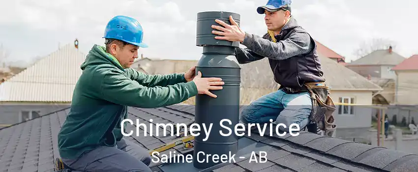 Chimney Service Saline Creek - AB