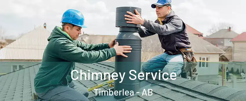 Chimney Service Timberlea - AB