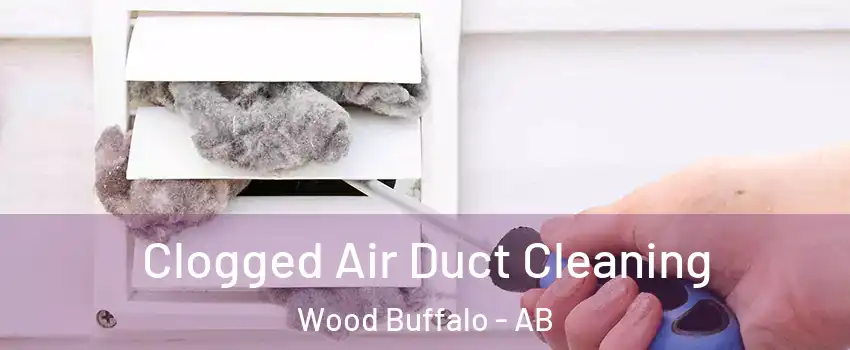 Clogged Air Duct Cleaning Wood Buffalo - AB
