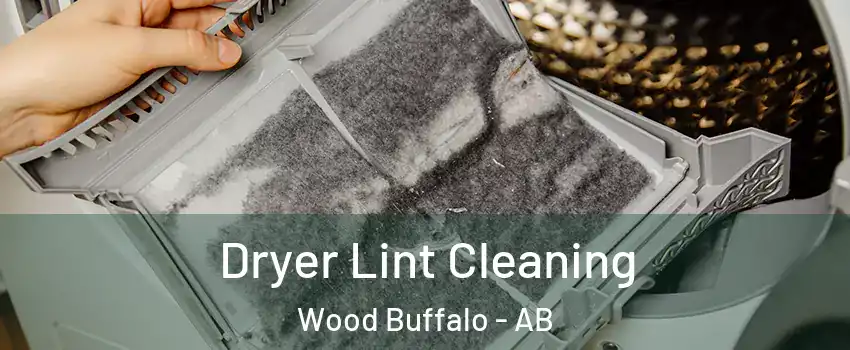Dryer Lint Cleaning Wood Buffalo - AB