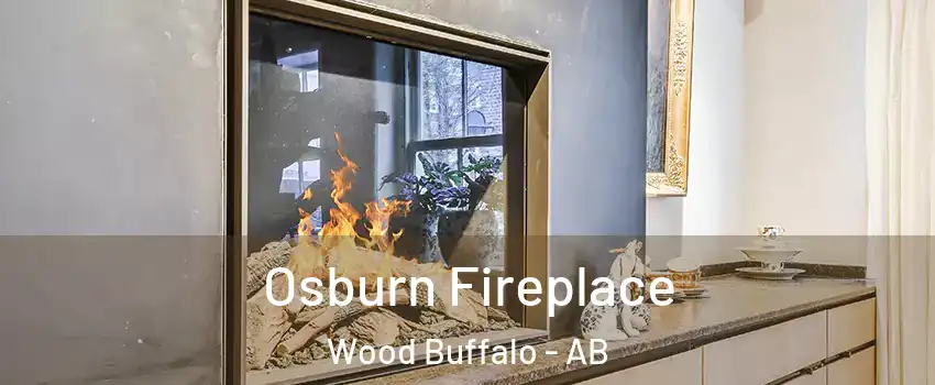 Osburn Fireplace Wood Buffalo - AB